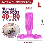 Pet Dog Toothbrush Chew Toy Doggy Brush Stick Soft Rubber Teeth Cleaning Dot Massage Toothpaste for Small dogs Pets Toothbrushes